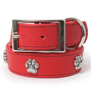 Silver Paw Leather Dog Collar