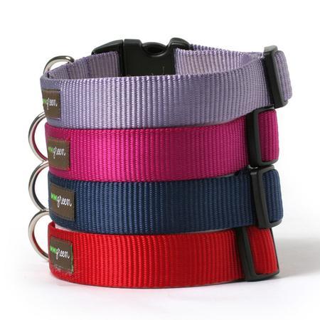 Nylon Dog Collar