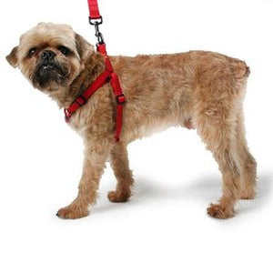 Nylon Webbing Step In Dog Harness