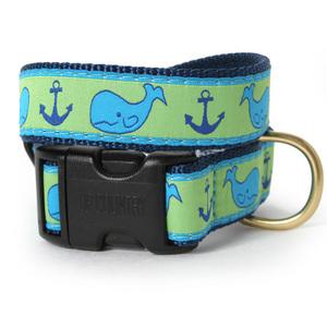Whale Dog Collar