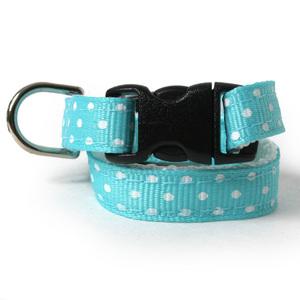 Aqua Dots Dog Collar