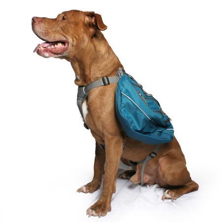 Ruffwear Approach Dog Pack