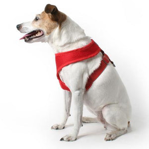 Gooby Freedom 2 Dog Harness