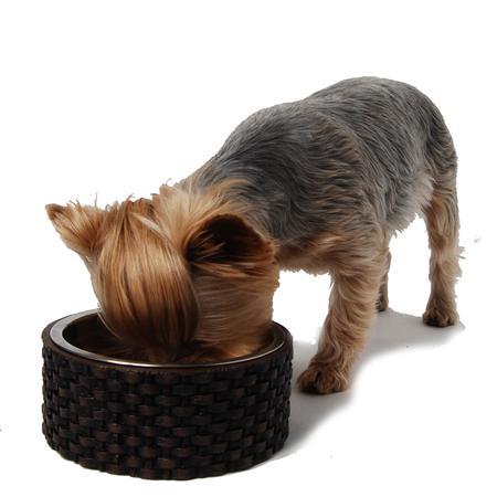 Capri Dog Bowl