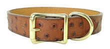 Load image into Gallery viewer, Ostrich Print Leather Dog Collar
