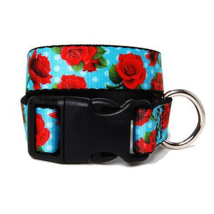 Red Rose and Aqua Dot Dog Collar