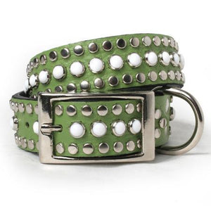 White Cabs and Silver Studs on Green Leather Dog Collar