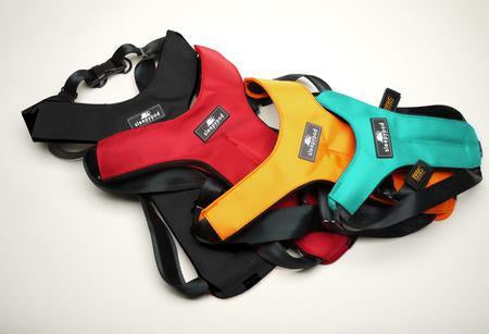 Sleepypod Clickit Sport Dog Harness