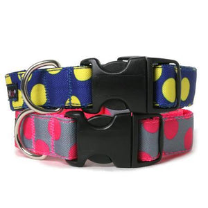 Neon Dots Dog Collar