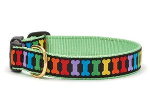Rainbow Bones Dog Collar
