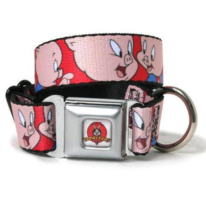 Pig dog collar best sale