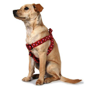 Hearts Step In Dog Harness