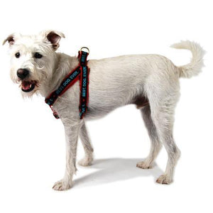 Best Dog Ever Step In Dog Harness
