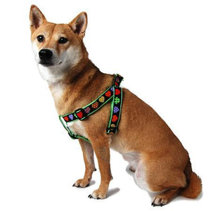 Colorful Hearts Step In Dog Harness