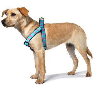 Dahlia Step In Dog Harness