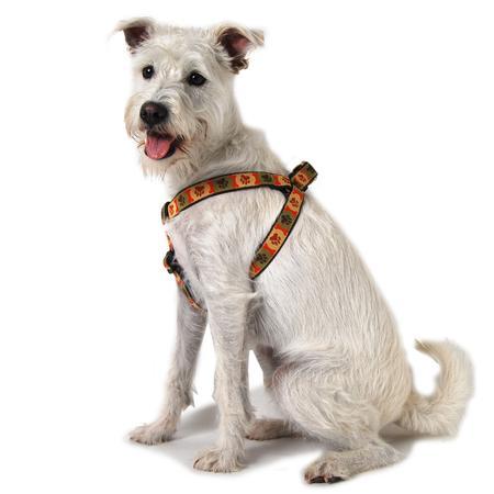 Pawprints and Bones Step In Dog Harness