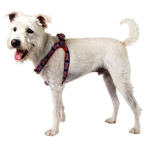 Union Jack Step In Dog Harness