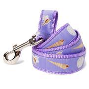 Seashells on Purple Dog Leash