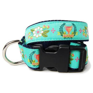 Winner Dog Collar