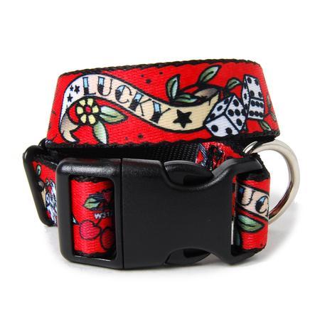 Lucky Dog Collar