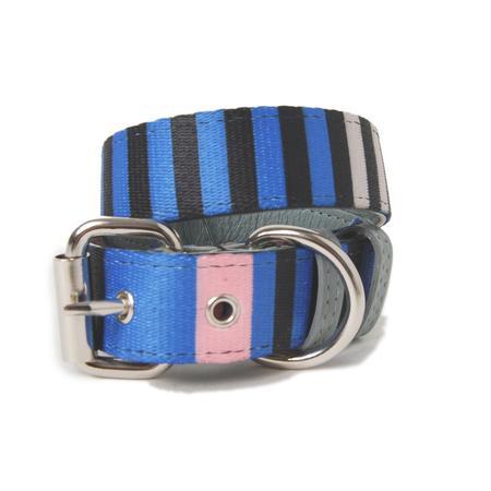 Striped Webbing Dog Collar