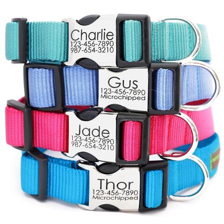 Engraved Buckle Personalized Dog Collar