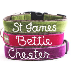 Embroidered Personalized Velvet Dog Collar