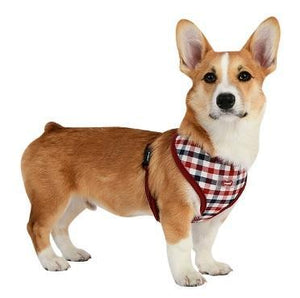 Red and Blue Gingham Dog Harness