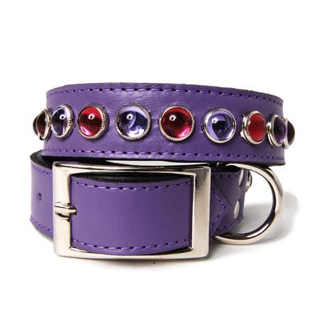 Purple and Pink Single Row Cabs Leather Dog Collar