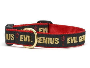 Evil Genius Dog Collar