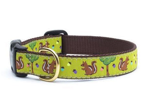 Squirrel and Nuts Dog Collar
