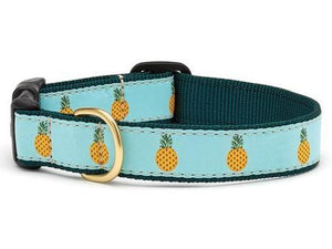 Pineapples Dog Collar