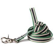 Green and Navy Striped Dog Leash