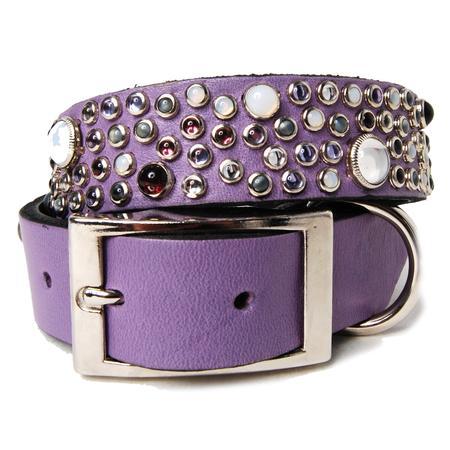 Mix Stones on Purple Leather Dog Collar