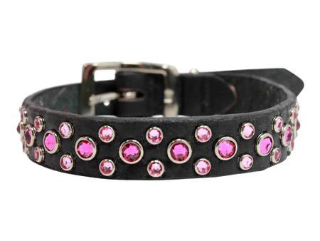Fuchsia and Rose Crystals on Black Leather Large Dog Collar