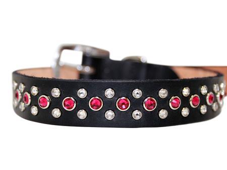 Ruby and Clear Crystals on Black Leather Medium Dog Collar