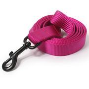 Solid Color Nylon Dog Leash